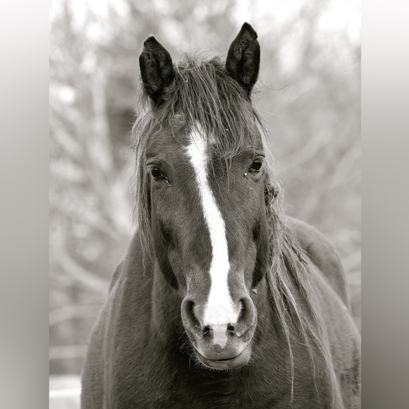 Prints - Picture 2 of 3